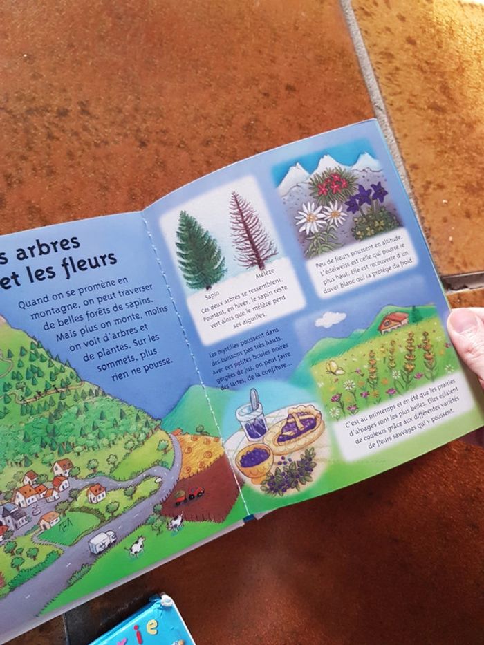 Lot de 2 livres la petite imagerie - photo numéro 5