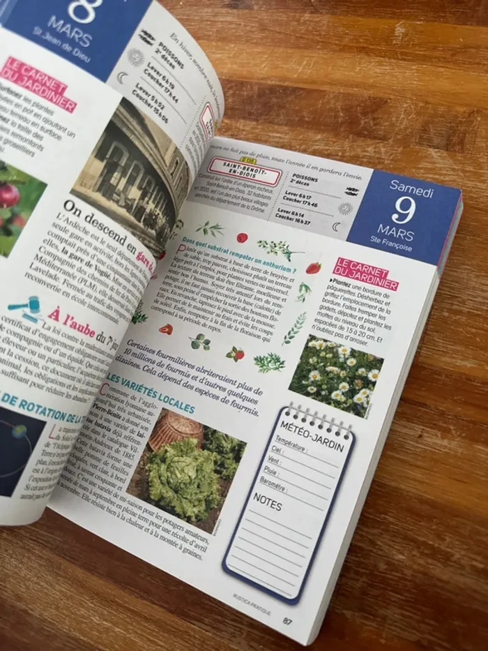 Livre almanach, 2024, une page un jour fêtes , jeu dicton - photo numéro 5