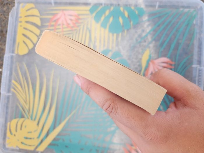 Livre de poche "jamais sans ma fille" de Betty Mahmoody - photo numéro 6