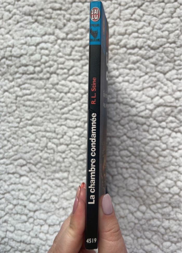 La chambre condamnée de R.L. Stine - photo numéro 3