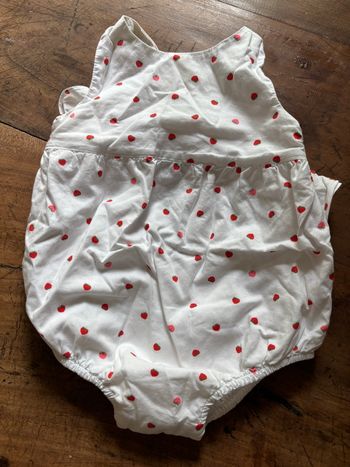 Barboteuse avec des petites fraises