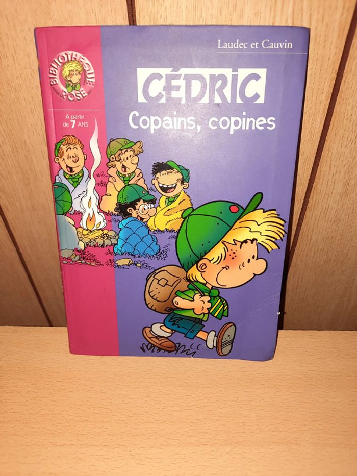 Livre Cédric : Copains, copines