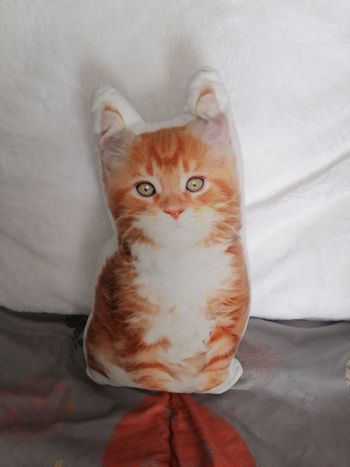 Peluche chat de 38 cm