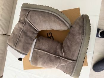 Bottine ugg 