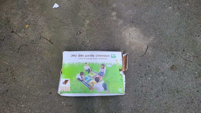 JEU DES PETITS CHEVAUX XL (tapis) - photo numéro 2