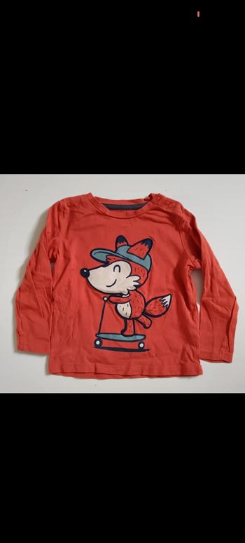 Polo renard en trotinette