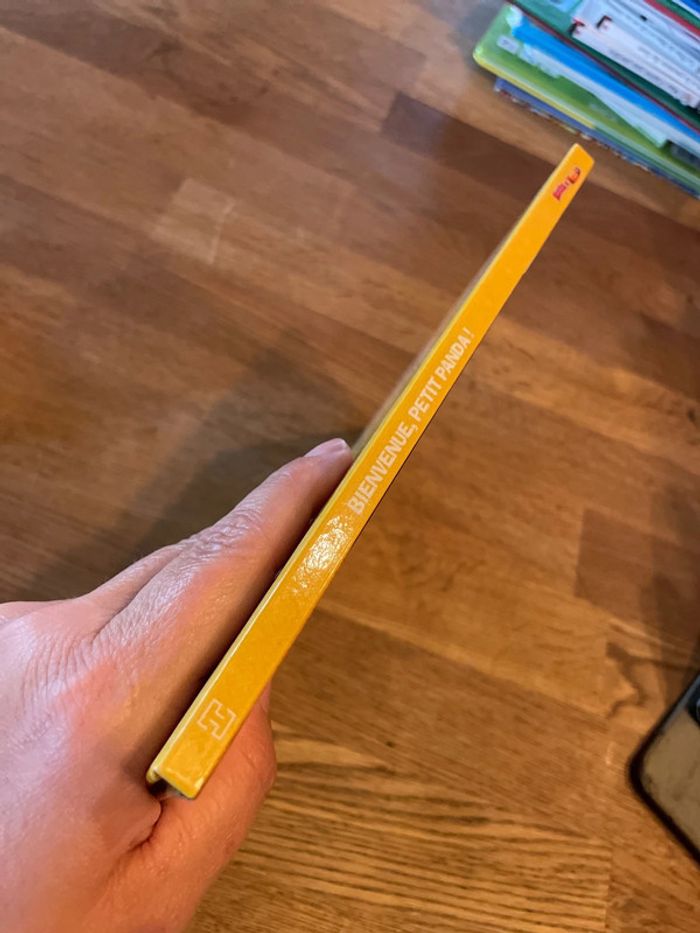 Livre Masha et Michka Masha Bienvenue Petit Panda ! - photo numéro 2