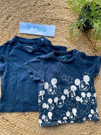 Lot 2 tee-shirts 9 mois