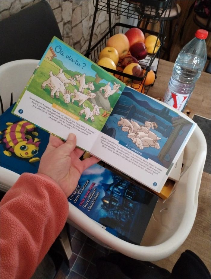 Lot livres tout petits - photo numéro 7