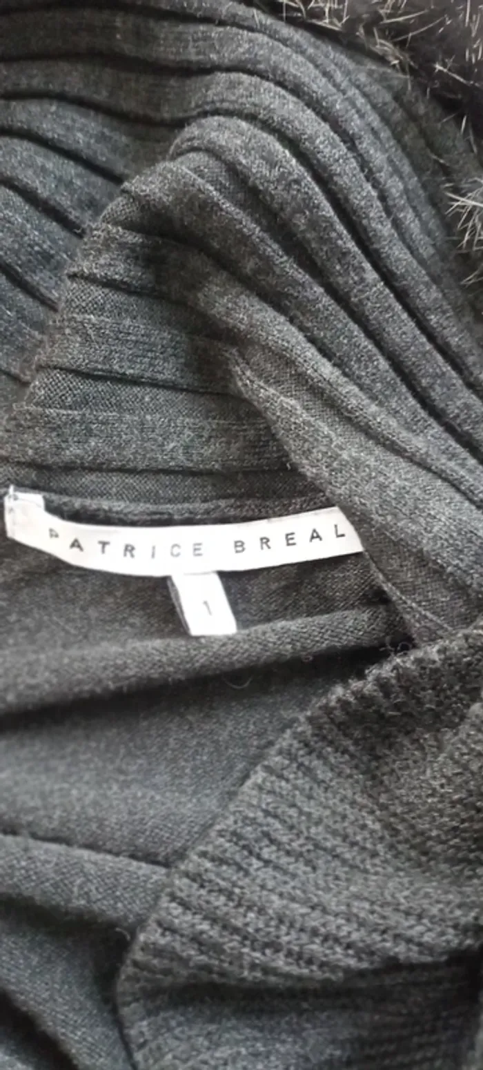 Veste longue Patrice Breal - photo numéro 4