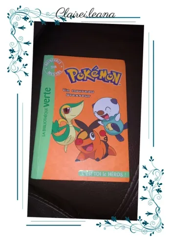 🛑livre Pokémon 🛑