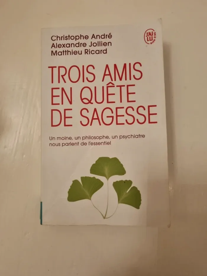 Trois amis en quête de sagesse
