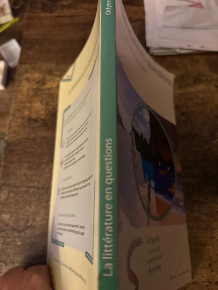 la littérature en question - photo numéro 3