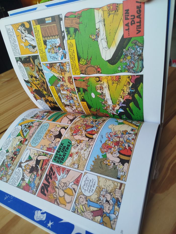 Album double Astérix - photo numéro 5