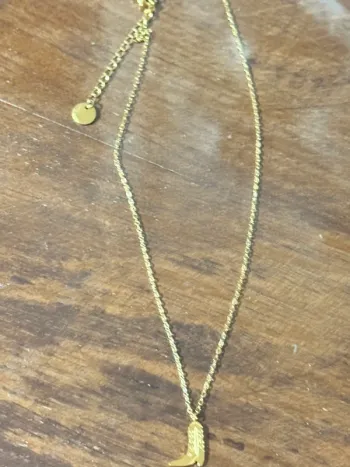 Collier chaîne réglable acier inoxydable or pendentif Santiag petit créateur