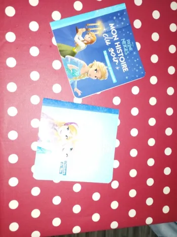 2 livres reines des neiges Mon histoire du soir