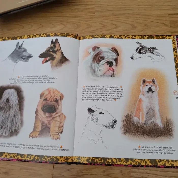 Dessiner et peindre les chiens - photo numéro 2