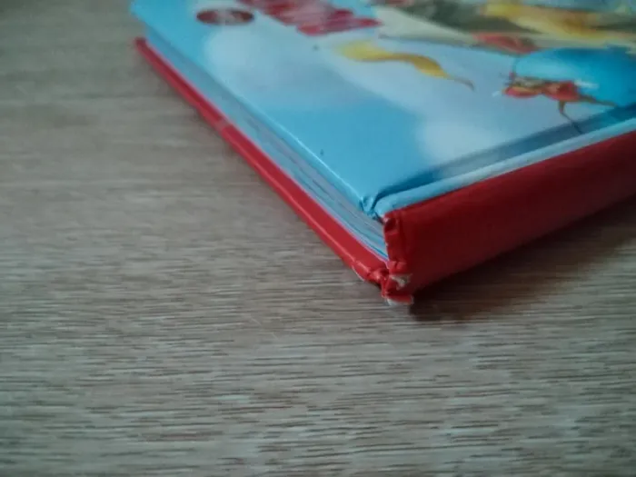 Lot gros livres Disney - photo numéro 13