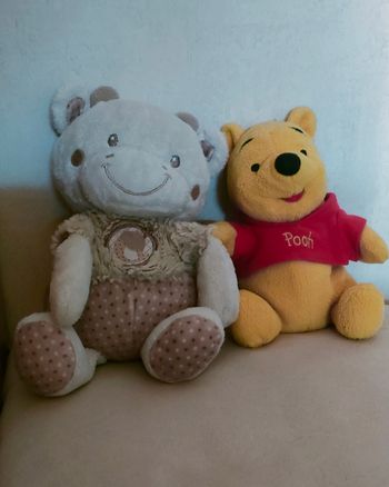 Lot Peluches 