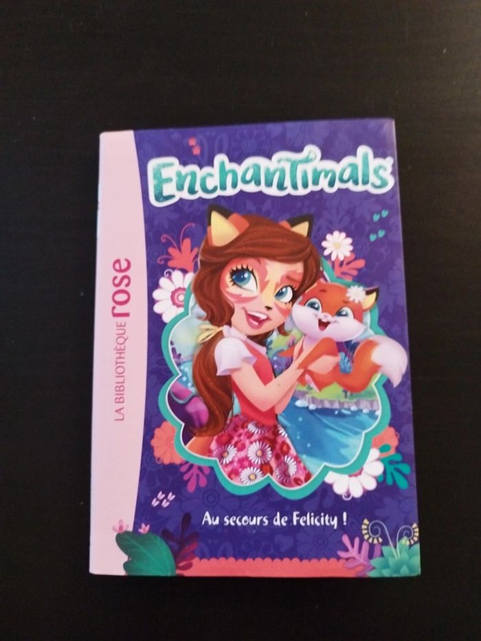 Lot 4 livres Enchantimals - photo numéro 8