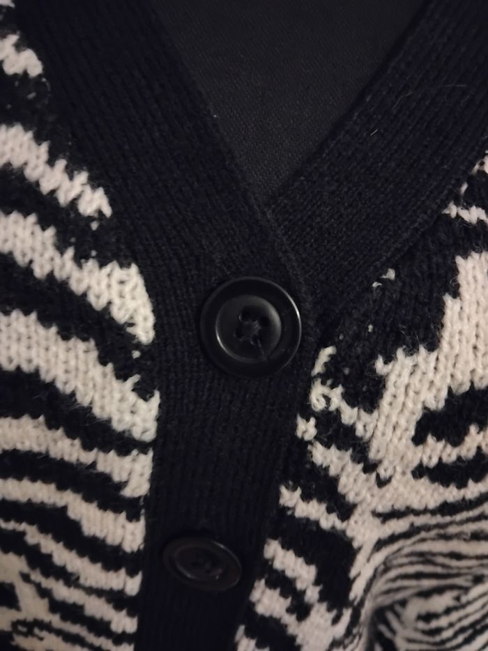 Gilet zebre - photo numéro 4