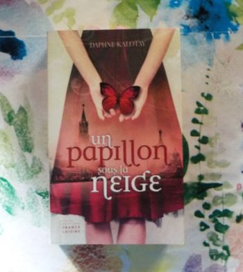 UN PAPILLON SOUS LA NEIGE de Daphné KALOTAY Ed. France Loisirs