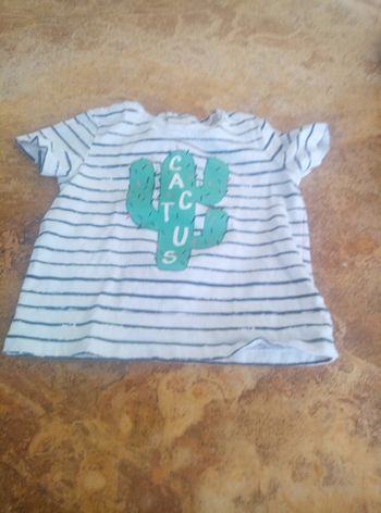 T shirt cactus
