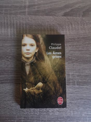 Livre fiction Les Âmes grises de Philippe Claudel