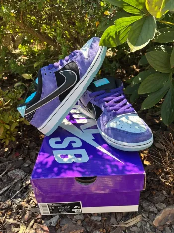 Nike Dunk SB Hayley Wilson 39