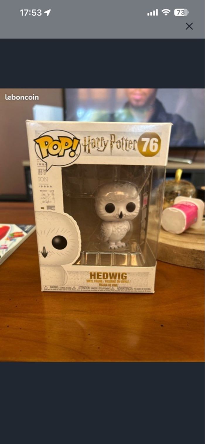 pop edwige - photo numéro 4