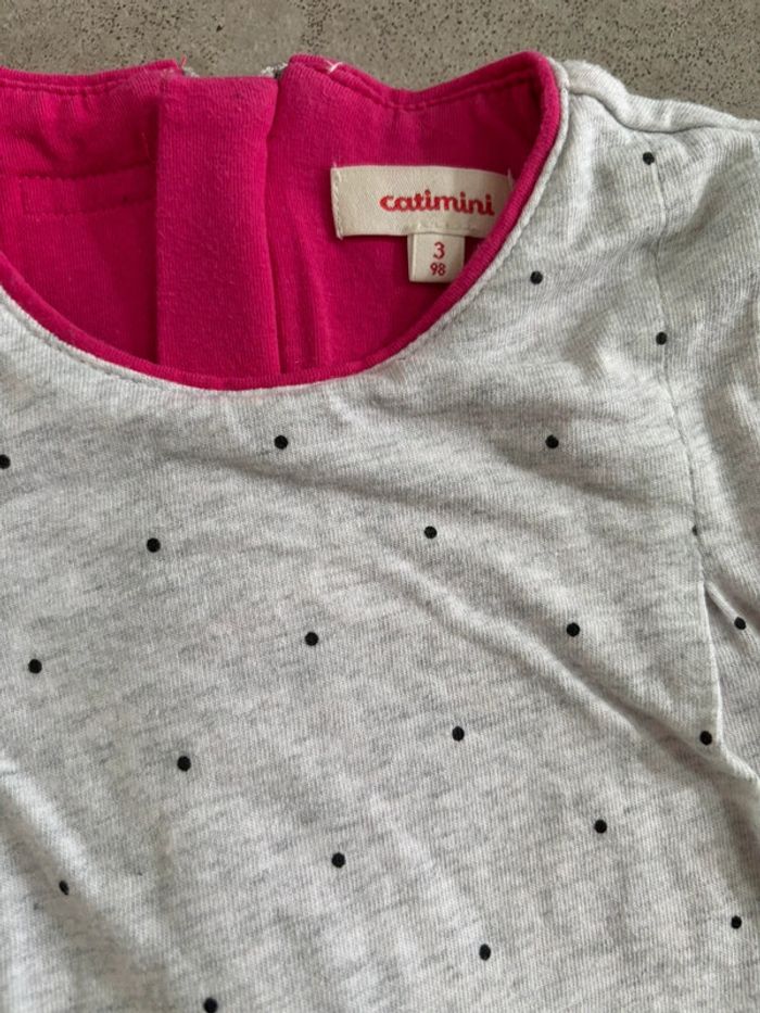 Robe renard - photo numéro 3