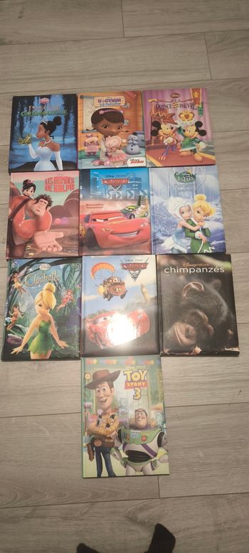 Livre Disney France loisir 