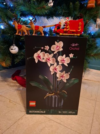 LEGO Botanicals 10311 - L'orchidée