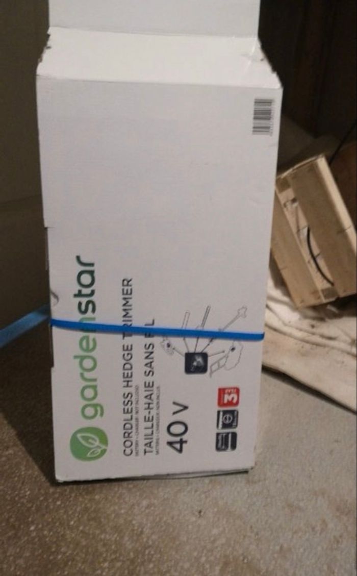 Taille haie - photo numéro 3