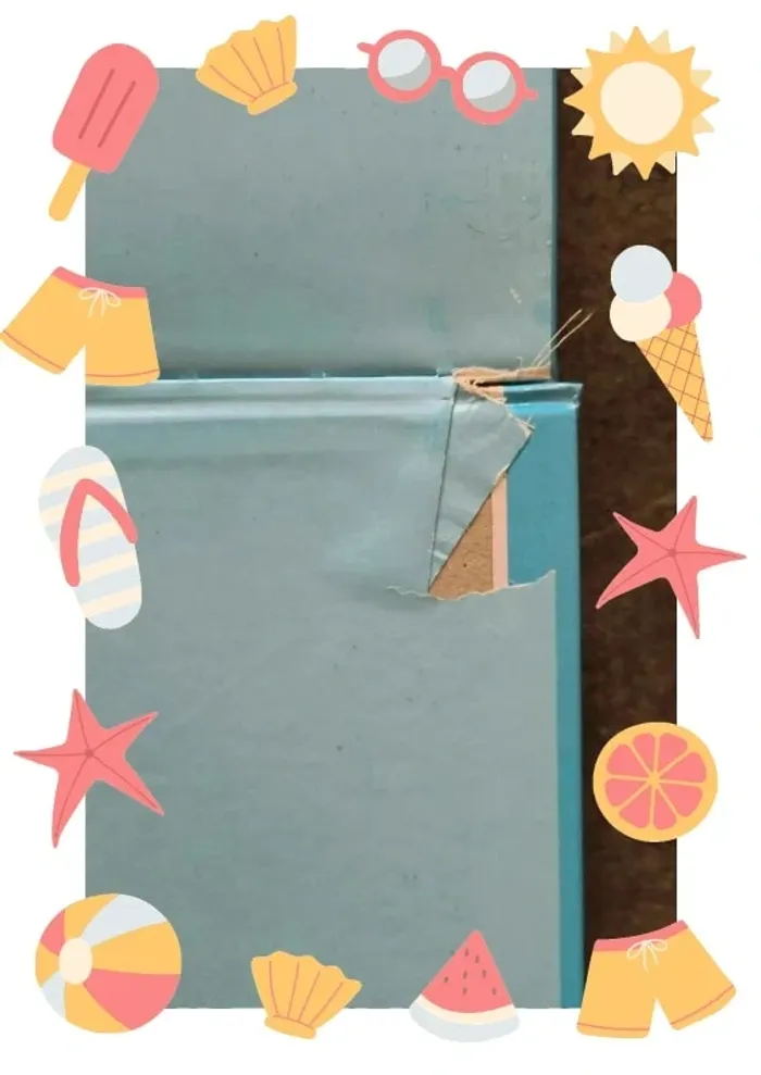 Livre ''Les lettres de mon moulin '' - photo numéro 3