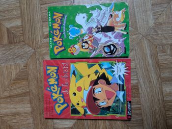 Lot 2 manga pokémon