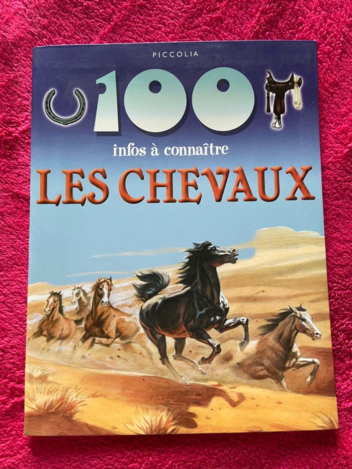 100 infos à connaître sur les chevaux