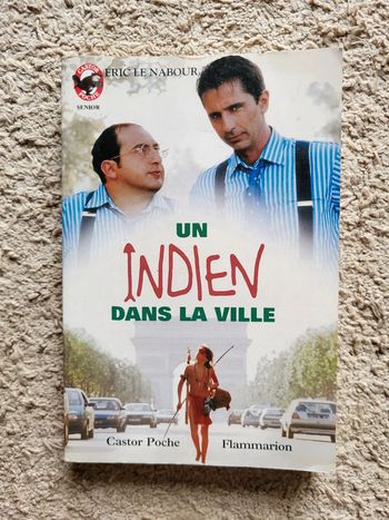 Roman jeunesse "Un indien dans la ville" d'Éric Le Nabour