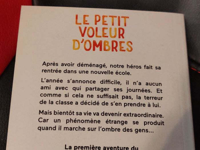 Livre Marc Lévy Le petit voleur d'ombres - photo numéro 7