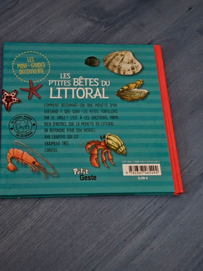 Les p'tites bêtes du littoral - photo numéro 3