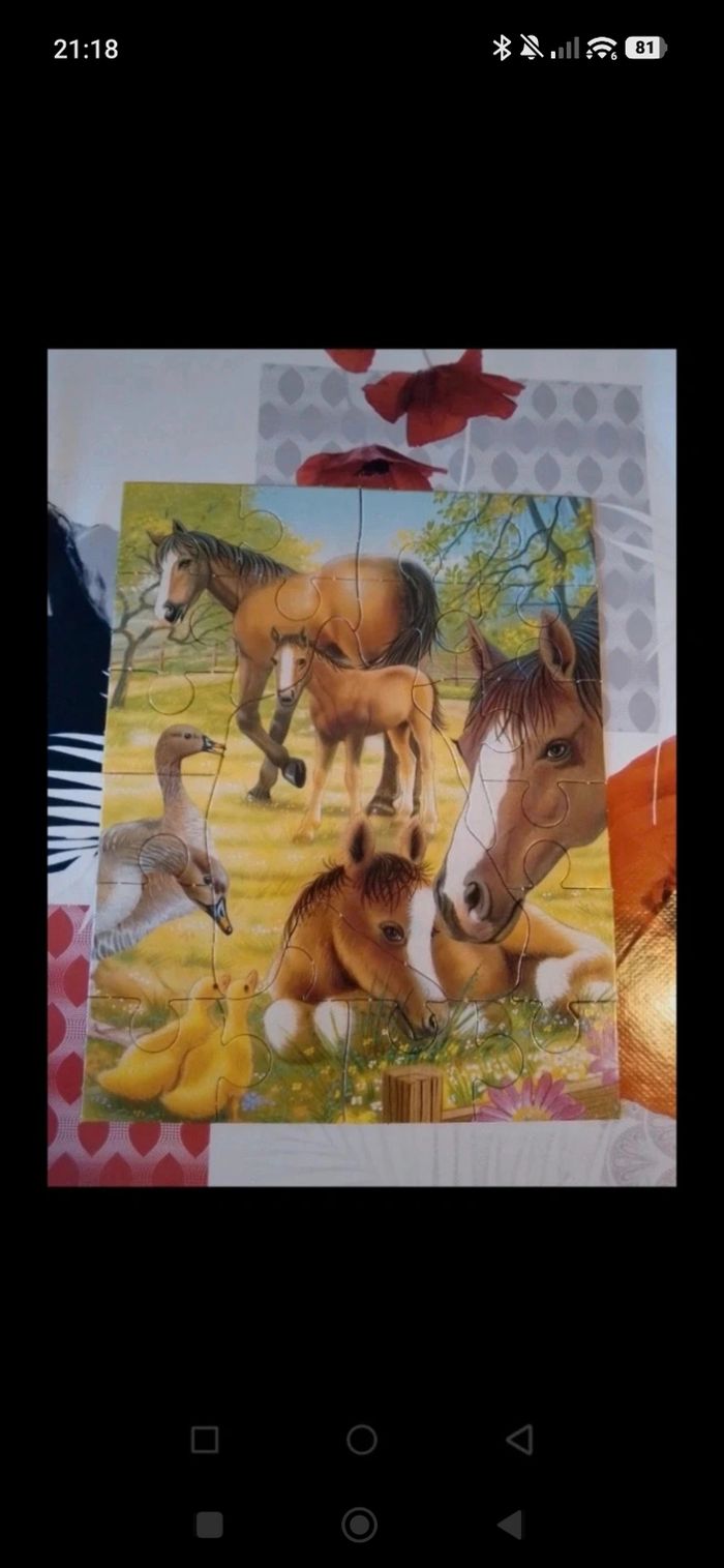 Puzzle - photo numéro 2