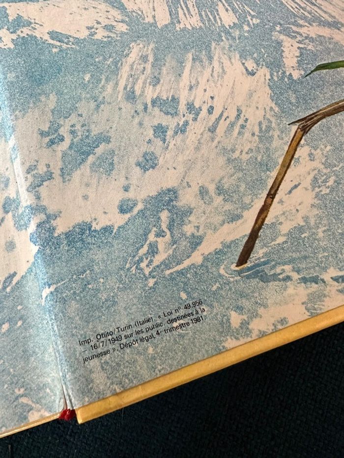 1981 Livre ancien rare Les Animaux Prédateurs Robert Dallet Lito Paris illustrateur Hermès - photo numéro 10