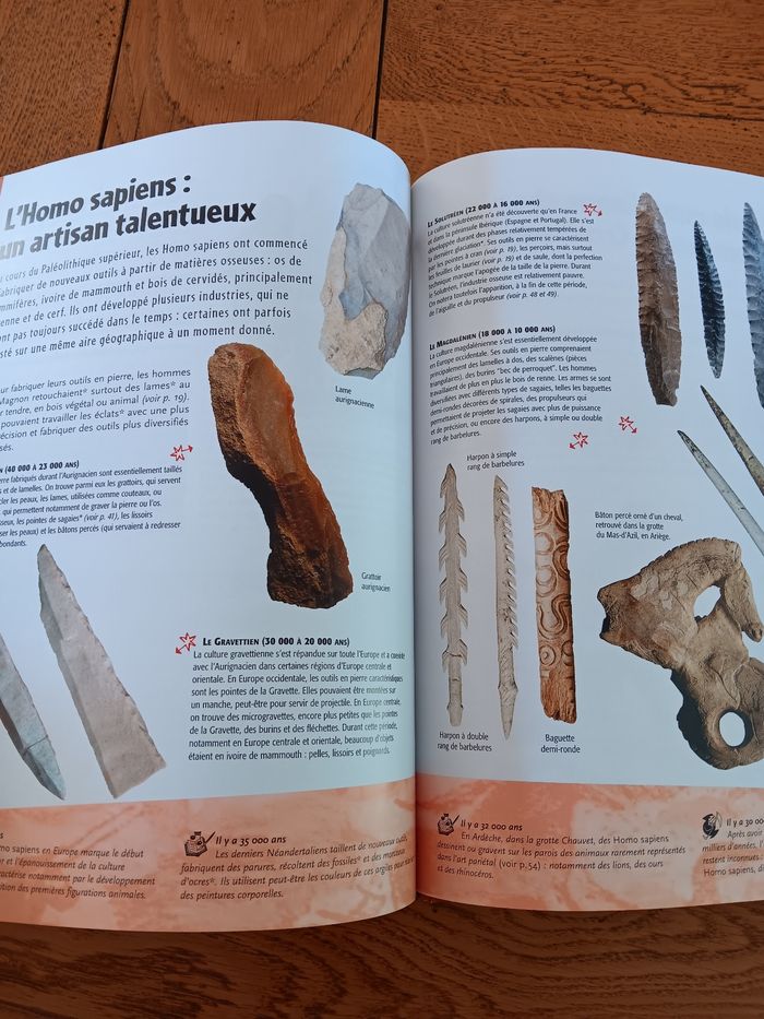 Livre sur la préhistoire - photo numéro 6