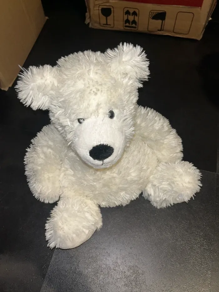 Ours en peluche