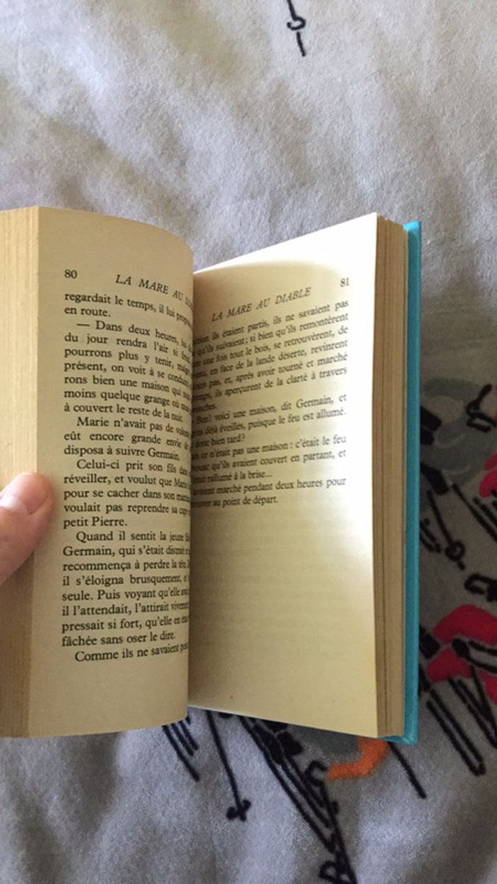 La mare au diable Georges Sand Dargaud Jeunesse - photo numéro 10