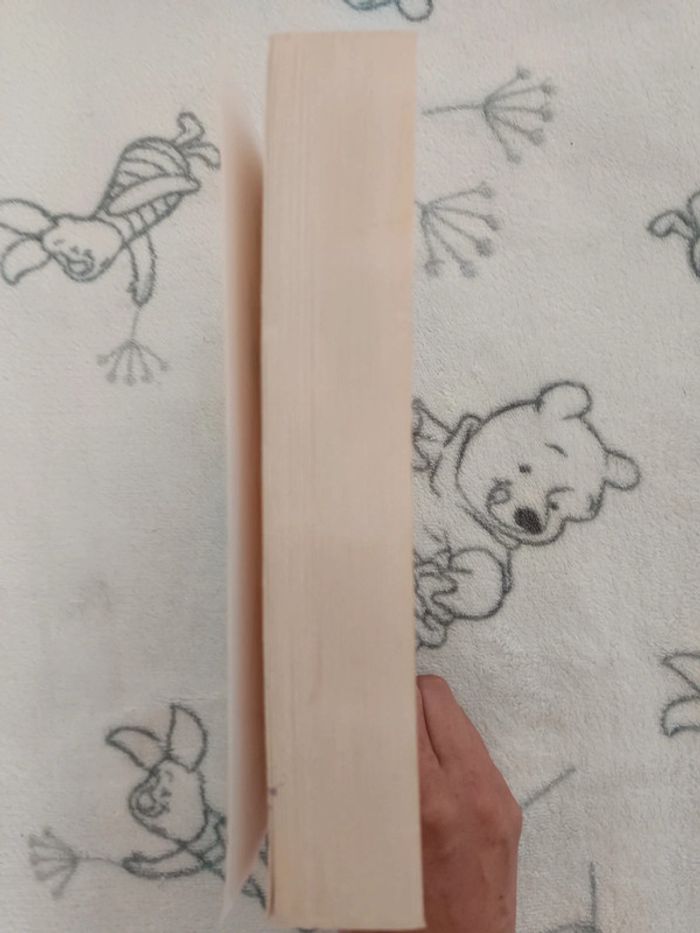 Livre Prada - photo numéro 3