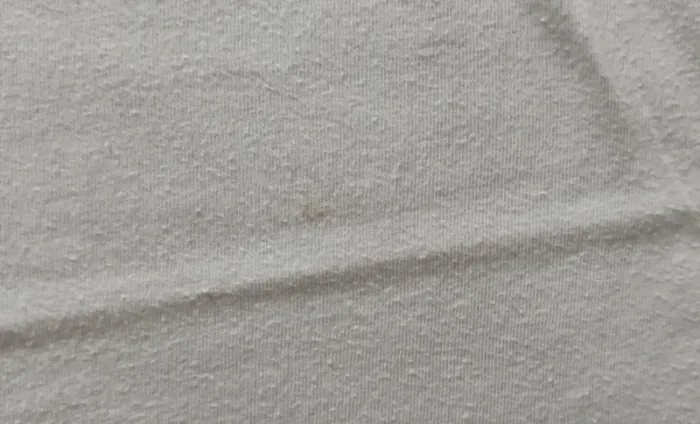 Lot 2 T-shirt - photo numéro 4