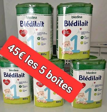 Blédilait 1 de 0 à 6 mois 5 boîtes × 800g