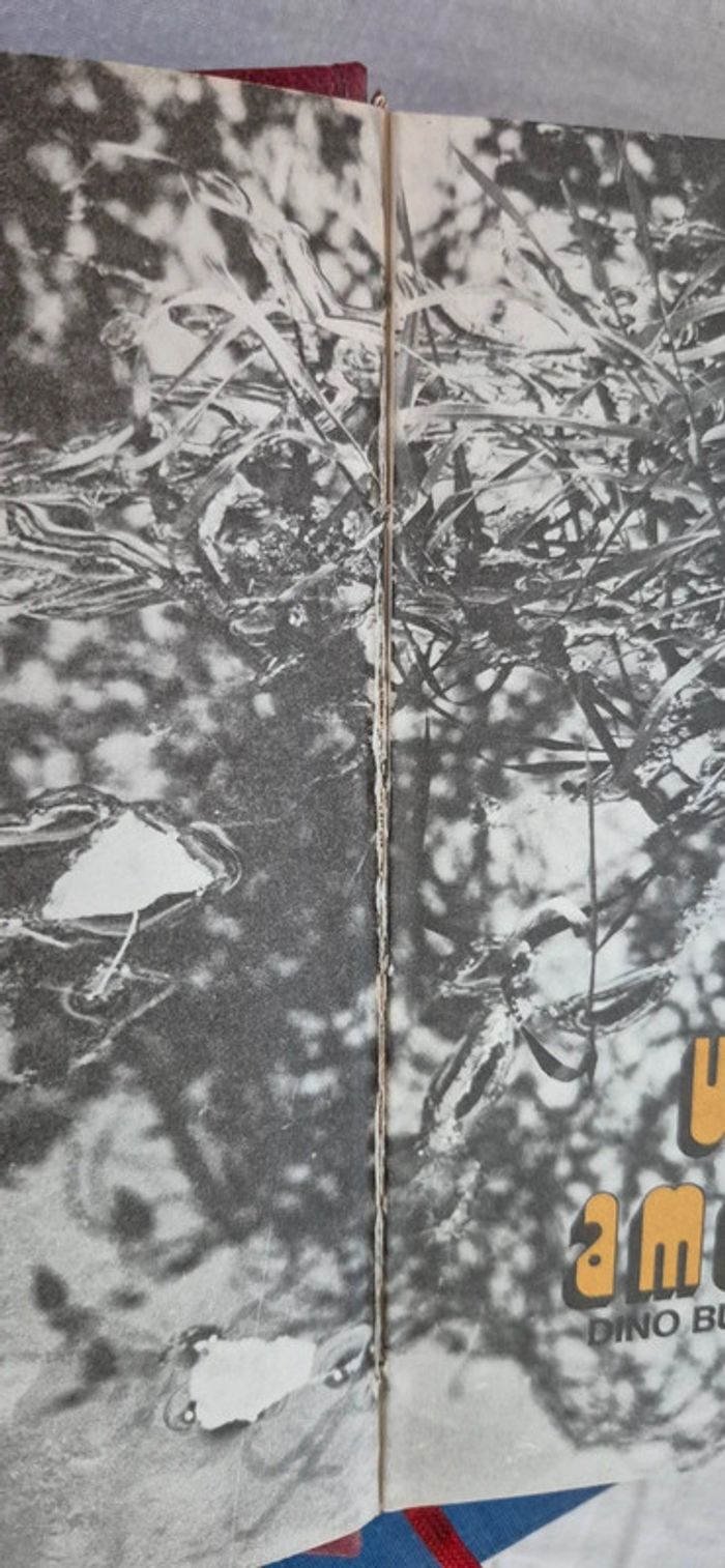 Livre un amour de Dino Buzzati - photo numéro 8