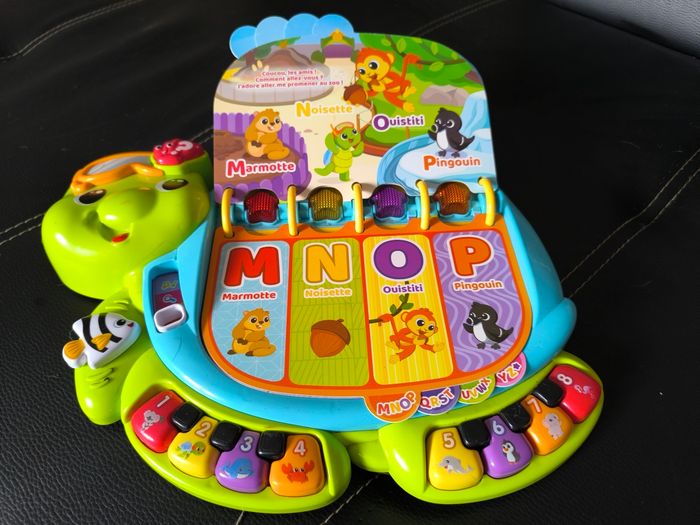 Thaïs la tortue exploratrice - photo numéro 5